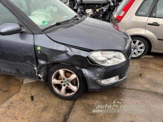 Skoda Fabia Fabia II Combi, Combi 5-drs, 2007 / 2015 1.2 TDI 12V Greenline picture 12