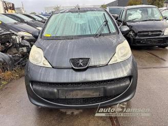 Peugeot 107 107, Hatchback, 2005 / 2014 1.0 12V picture 2