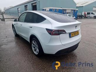 Tesla Model Y Model Y (5YJY), SUV, 2019 RWD picture 3