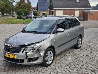 Skoda Fabia 1.2 TSI Combi/o 4Dr Benzine 1.197cc 63kW (86pk) picture 7
