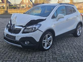 Opel Mokka 1.4 Turbo 16V 4x2 SUV  Benzine 1.364cc 103kW (140pk) FWD picture 5