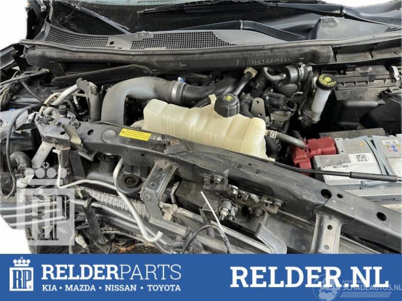 Nissan Juke Juke (F15), SUV, 2010 / 2019 1.2 DIG-T 16V