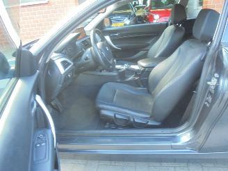 BMW 1-serie Business+, 220 pk , Navi, Airco, Cruise control, Leer picture 11