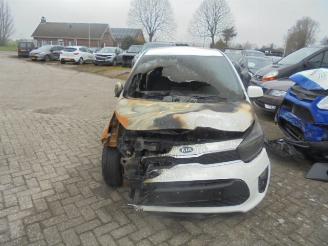  Kia Picanto 1.0 benzine 2018/1