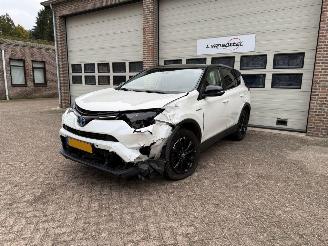Toyota Rav-4 2.5 Hybrid AWD Executive Automaat Leder picture 2