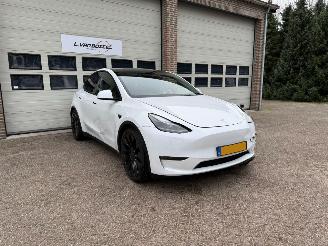  Tesla Model Y AWD 75 kWh Performance Leder Pano 1e Eig NAP 2022/9
