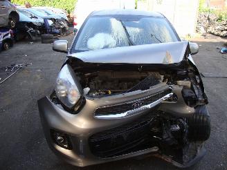 Kia Picanto  picture 2