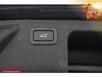 Landrover Discovery Sport 2.0 TD4 HSE VAN Commercial Navi Camera SHZ Leder picture 22