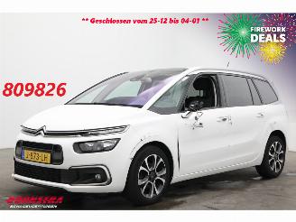 škoda osobní automobily Citroën Grand C4 SpaceTourer 1.2 PureTech Bns 7-Pers. Navi Clima Cruise Camera PDC AHK 46.725 km! 2020/9