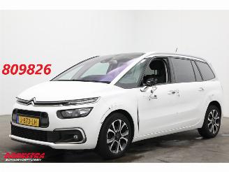 skadebil auto Citroën Grand C4 SpaceTourer 1.2 PureTech Bns 7-Pers. Navi Clima Cruise Camera PDC AHK 46.725 km! 2020/9