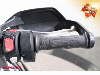 Triumph Tiger 900 GT Pro Akrapovic Heizgriffe Cruise Bluetooth SHZ picture 21