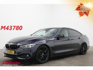 Unfallwagen BMW 4-serie Gran Coupé Gran Coupé 420i Executive LED Navi Clima Cruise Camera SHZ PDC 2018/4