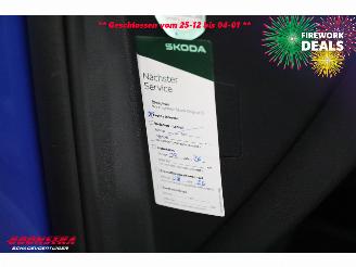 Skoda Enyaq 85 Sportline Matrix ACC LRHZ Camera Memory picture 27