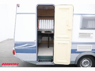 Fendt  Saphir 450 Mover Luifel Ringverwarming picture 22