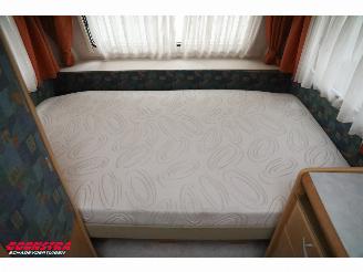 Fendt  Saphir 450 Mover Luifel Ringverwarming picture 13