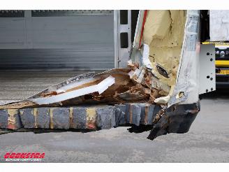 Schmitz Cargobull  SKO SKO Thermo King SLXi 300 Dhollandia 2X Lift BY 2020 picture 18