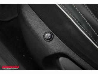 Renault Mégane 1.3 TCe Bose Navi Clima Cruise Camera SHZ PDC AHK picture 28