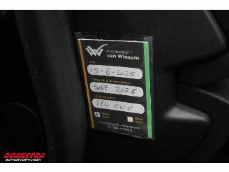 Renault Mégane 1.3 TCe Bose Navi Clima Cruise Camera SHZ PDC AHK picture 32