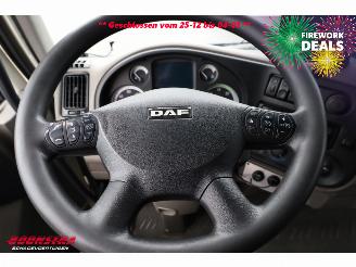 DAF LF 45 Glasresteel 4X2 Euro 5 picture 16