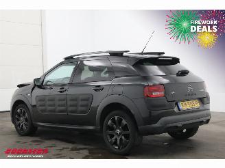 Citroën C4 cactus 1.2 PureTech Navi Clima Cruise PDC 92.137 km! picture 4