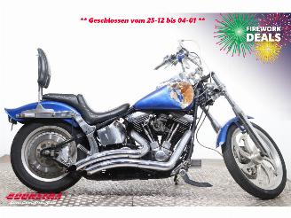 Harley-Davidson  FXSTC Softail Custom picture 7
