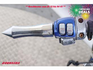 Harley-Davidson  FXSTC Softail Custom picture 25