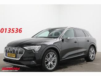 Auto incidentate Audi E-tron 55 Quattro MirrorCam 360° Memory SHZ AHK 2019/5