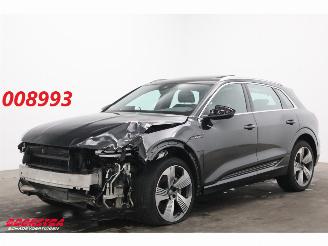 krockskadad bil auto Audi E-tron 55 quattro 95 kWh Pano LED Cruise SHZ PDC 2019/5