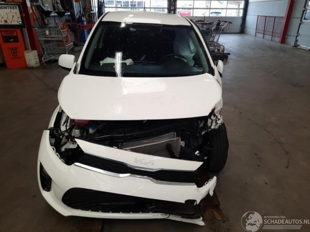 Kia Picanto Picanto (JA), Hatchback, 2017 1.0 DPi 12V