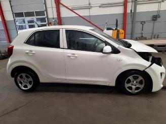 Kia Picanto Picanto (JA), Hatchback, 2017 1.0 DPi 12V picture 3