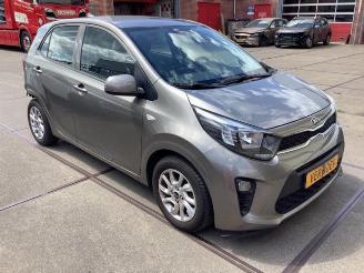 Kia Picanto Picanto (JA), Hatchback, 2017 1.0 12V picture 2