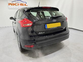 Ford Focus HB 1.0 EcoBoost Titanium Edition picture 11