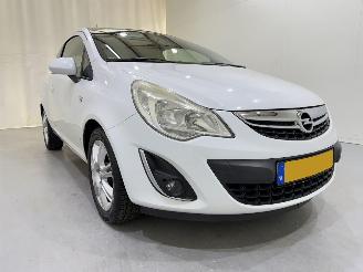Opel Corsa 1.2 Bi-fuel Color Edition picture 17