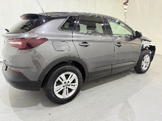 Opel Grandland X 1.2T Business Exe Automaat picture 6