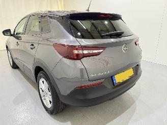 Opel Grandland X 1.2T Business Exe Automaat picture 27