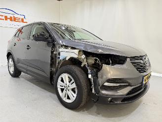 Opel Grandland X 1.2T Business Exe Automaat picture 13