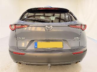 Mazda CX-30 2.0 E-Skyactiv X MHEV Luxury picture 5