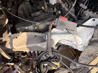 Rapido  8066DF 60th Edition Aut9 picture 42