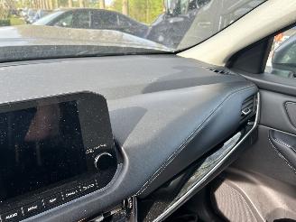 Nissan Qashqai 1.3 Hybrid  Automaat Business Design ( Panoramadak ) picture 13