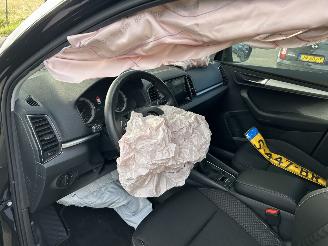 Skoda Karoq 1.0  TSI  Greentech Business Edition picture 13