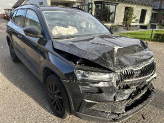 Skoda Karoq 1.0  TSI  Greentech Business Edition picture 3