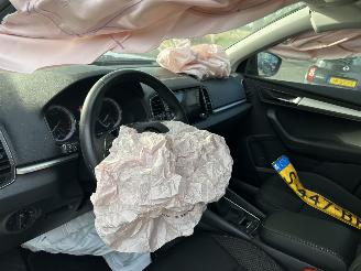 Skoda Karoq 1.0  TSI  Greentech Business Edition picture 10