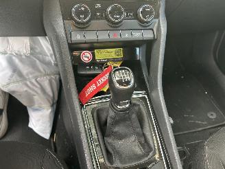 Skoda Karoq 1.0  TSI  Greentech Business Edition picture 9