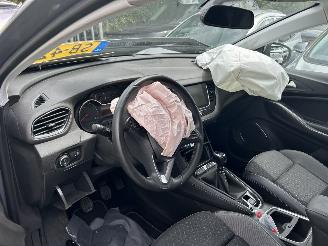 Opel Grandland X 1.2 Turbo picture 8