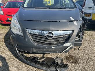 Opel Meriva 1.4 Cosmo picture 3