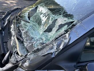 Skoda Fabia 1.0 TSI   Automaat  Monte Carlo  ( Panoramadak ) picture 11