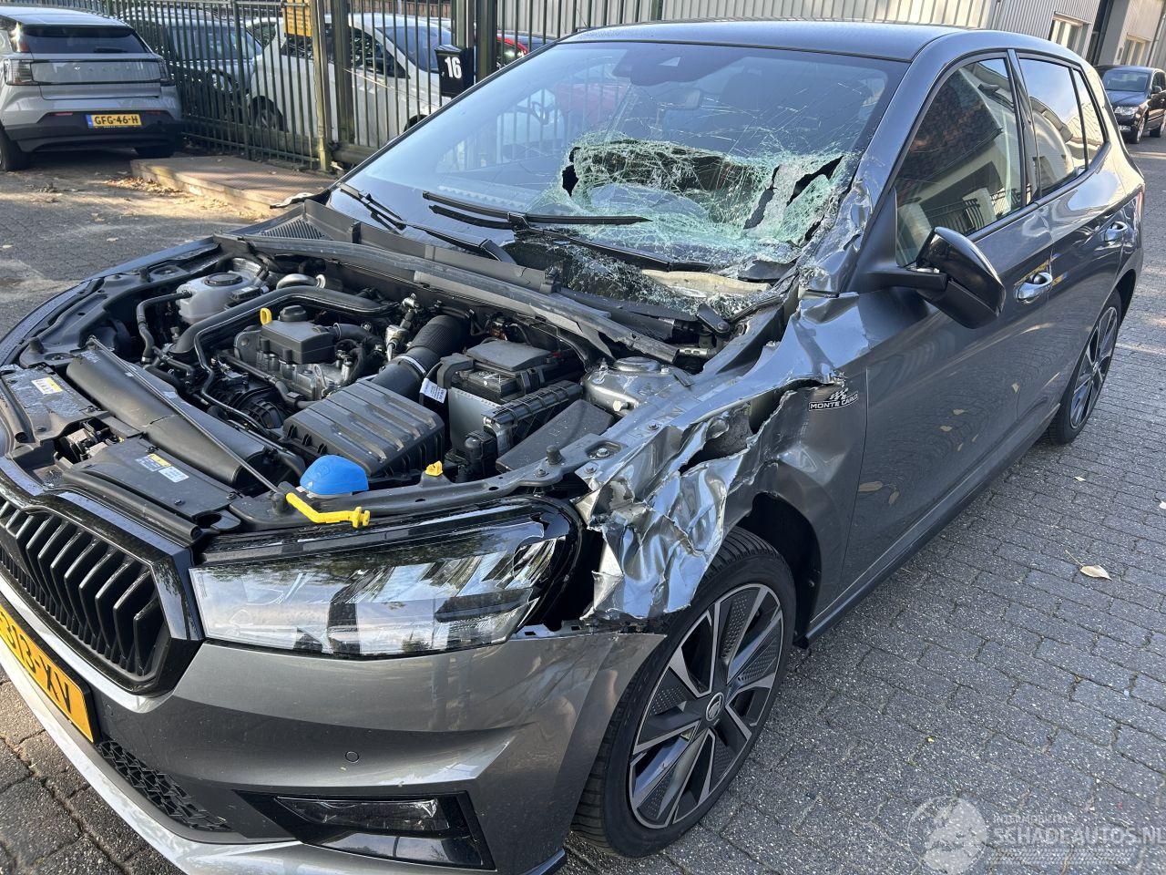 Skoda Fabia 1.0 TSI   Automaat  Monte Carlo  ( Panoramadak )