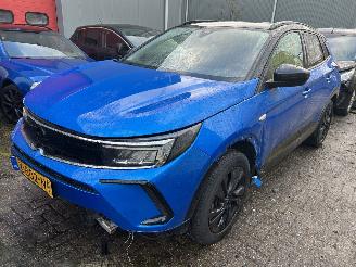Voiture accidenté Opel Grandland 1.2 Turbo Level 4 2024/1