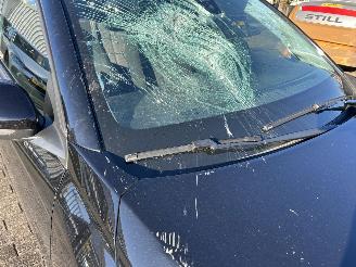 Opel Corsa 1.2 Edition   5 Drs picture 4