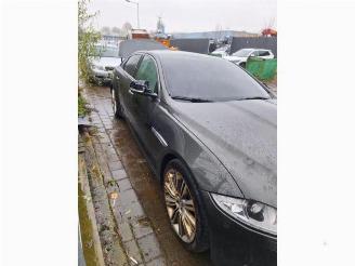 Jaguar XJ XJ (X351), Sedan, 2009 / 2019 3.0 D V6 24V picture 9